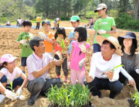 아시아나, 주말엔 농촌으로...‘1사1촌’ 봉사활동 펼쳐