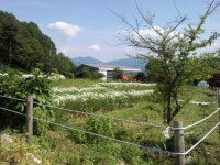 [박인호의 전원별곡] (전원명당-14) 화천군 광덕·삼일리 “욕심을 비우면 내 것이 되는 녹색의 축복”