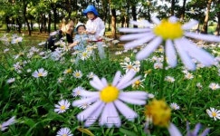 <포토뉴스> 처서 맞은 호수공원