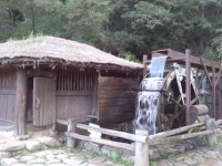 [박인호의 전원별곡](전원명당-17) 평창군 봉평 “자연과 문화, 관광, 레포츠가 어우러진 테마가 있는 전원마을”
