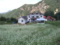 [박인호의 전원별곡](전원명당-24) 보은군 삼가·만수·구병리 “충북알프스가 품은 천혜의 전원 보금자리”