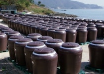 “고향의 맛으로 전세계 피쉬소스 시장 정복할 터”