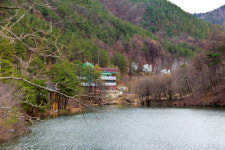 1월의 자연휴향림…임금님도 쉬어가던 속리산말티재 자연휴양림