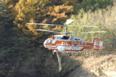 병 걸린 소나무 샅샅이 찾아낸다···산림청, 항공예찰 실시