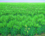 보리밭의 이브,꽃속의 이브..이숙자의 색채여정