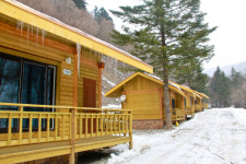 ‘1박2일’도 머물렀던 자연휴양림 어디?