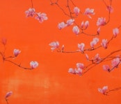 이강화,자연의 이름없는 것들에 보내는 찬가