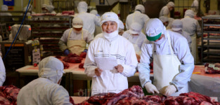 춘천 애막골 소장사 홍씨네 막내, 한우 2만4000마리를 주무르다