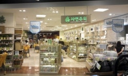 신세계 ‘자연주의’가로수길 간다