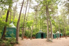 산림청 추천, 캠핑하기 좋은 국립자연휴양림 6선