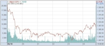 <마감시황> 개인 나홀로 분투, 코스피 1900선 붕괴 저지…시총 상위주 ‘우르르’