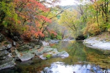숲과 계곡의 완벽한 조화, 가리왕산자연휴양림···‘이달의  추천휴양림’에 선정