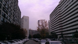 강남아파트 판도가 바뀐다…팡팡뜨는 ‘서초 반포’ vs 맥못추는 ‘강남 대치’