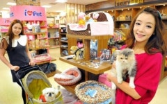 홈플러스, 반려동물 서비스 전문관 개장