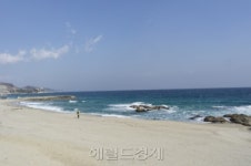 울진 vs 영덕 ‘대게 싸움’…“살 많은게 원조라예”