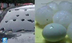 ‘달걀보다 큰 우박, 차량 유리까지 뚫어…