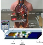 배터리 없이 인체서 전기 발생ㆍ공급받는 의료기기, 내년 시제품 나온다