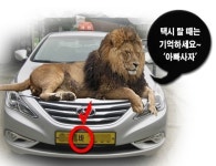 “여성, 택시탈때 ‘아빠사자' 기억”