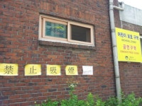 공회전 버스 매연에 담배연기에 고통받는‘창전어린이집’... “우리 아이들의 건강이 짖밟히고 있어요”
