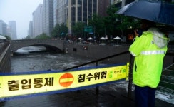 청계천 물고기 떼죽음 “기습 소나기로…”