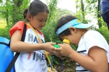 하이원리조트, 산림휴양 전문가와 함께 하는 ‘포레스트 힐링’ 인기