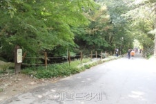 ［길문화프로젝트］① ‘아름다운 순례길’...그들이 걸은 고난의 길, 다양한 종교가 하나되는 화합의 길