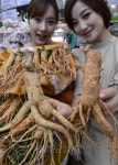 <포토>햇인삼을 5만원에 살 수 있어요