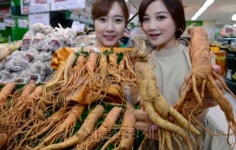 <포토> 전북 진안 인삼을 저렴한 가격에