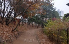 서울 도봉구의 역사문화길…연산군묘와 은행나무길