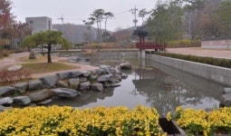 서울 도봉구의 역사문화길…연산군묘와 은행나무길