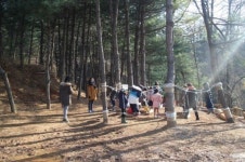 마포구, 상암산(상암근린공원) 두꺼비로드에  ‘유아숲 체험장’ 개장