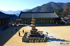 [테마있는 명소] 가야산 해인사--알수록 신비스러운 ‘한국의 불가사의’