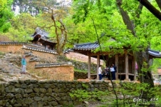 [테마있는 명소] 담양 소쇄원①-꿈 접은 올곧은 선비의 ‘오래된 정원’