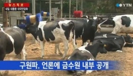금수원 내부 첫 공개, 송아지 79마리 목장 등…‘유병언 어디에?’