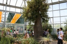 봄이 가기전에… 한택식물원에서 ‘힐링’ 해볼까