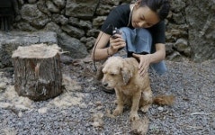 이효리 블로그 유명하지만 조용히 살고 싶다...모순 덩어리 삶 고백