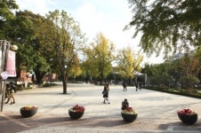 종로구, 마로니에 공원서 아티스트마켓 운영