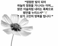 S.E.S. 슈, 제주항공 참사 애도 “삼가 고인의 명복을 빕니다”