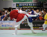 전통무예 택견, 18일 최고수 가린다