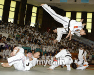 한국 전통무술 합기도의 새로운 도약