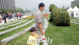 [MD포토]광화문 플라워카페 구경하는 시민들