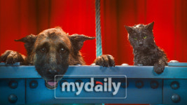 한국 기술로 3D 작업, ‘캣츠 앤 독스2’ 9월 개봉