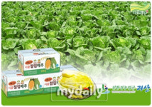 괴산절임배추, 5배 싼 가격에 홈피 마비…20Kg 2만5천원