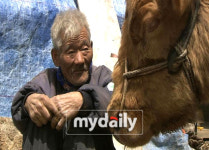워낭소리 소 할아버지, 구제역 복구 위해 성금 100만원 기부