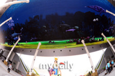 [MD포토] 야외에 조성된 대형 LED 스크린