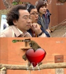 19禁에 관대해진 지상파, 야하지만 괜찮아