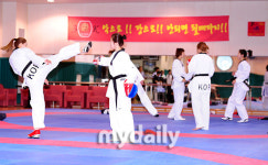 효자종목 태권도, 공격적인 발차기로 금맥 이어간다