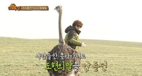 첫방 애니멀즈, 인간과 동물은 친구가 될 수 있을까 [MD포커스]