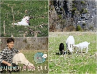 밍키·잭슨을 잊었나요? 업그레이드 동물농장 [삼시세끼 첫방②]