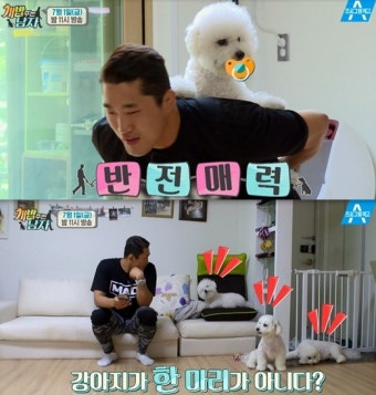 김동현 여동생 
